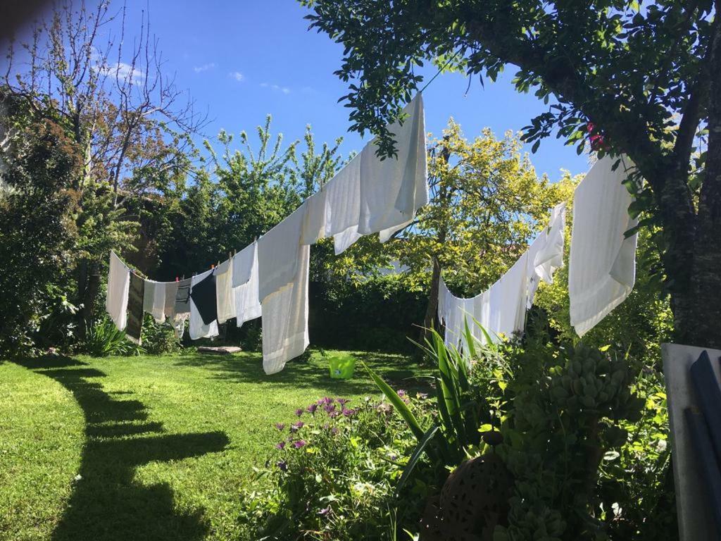 Posada Del Castano Castano de Robledo Dış mekan fotoğraf